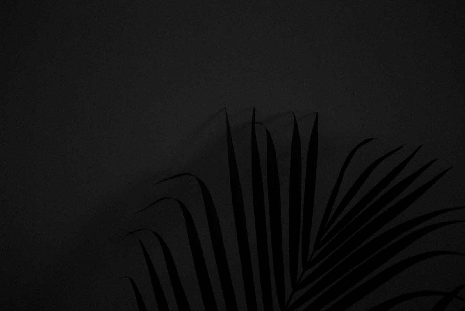 business convention insurance