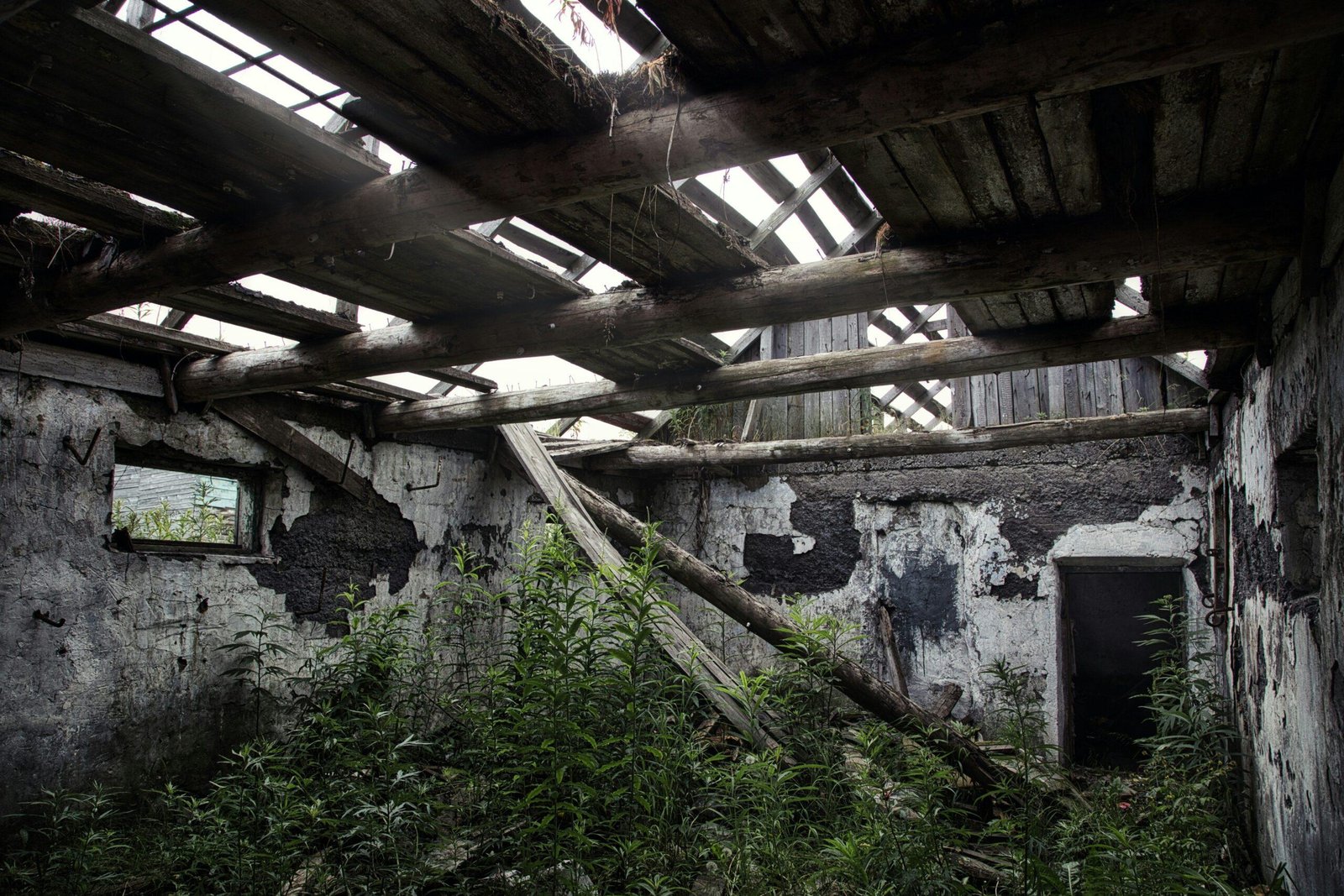 How to Navigate Property Damage Claims with Convention Insurance: A Personal Finance Guide